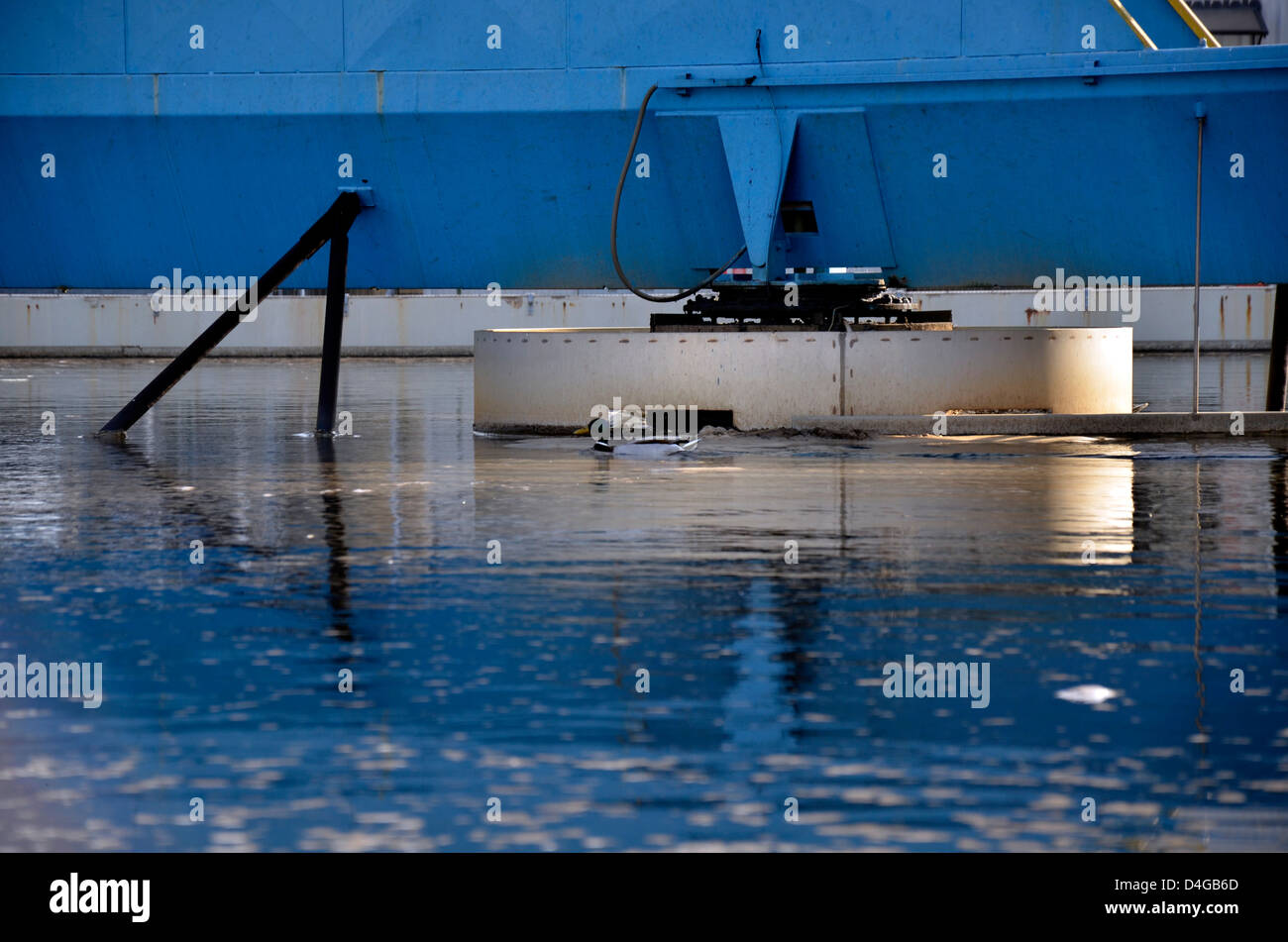 Water treatment tanks in waste water treatment systems to make it clean