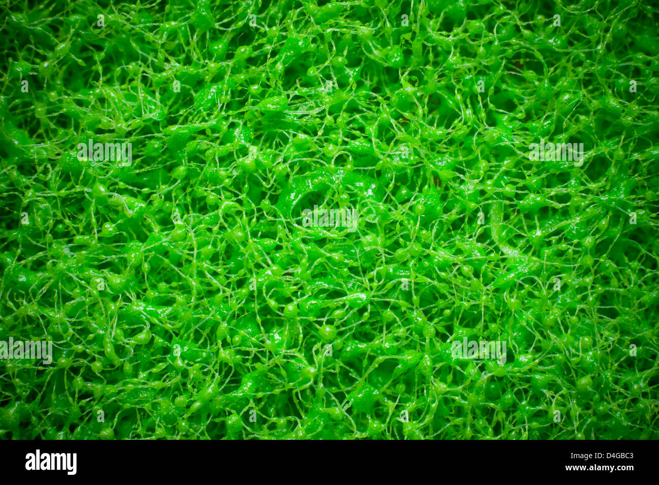 Composite image of artifical green grass, turf. Background texture. Stock Photo
