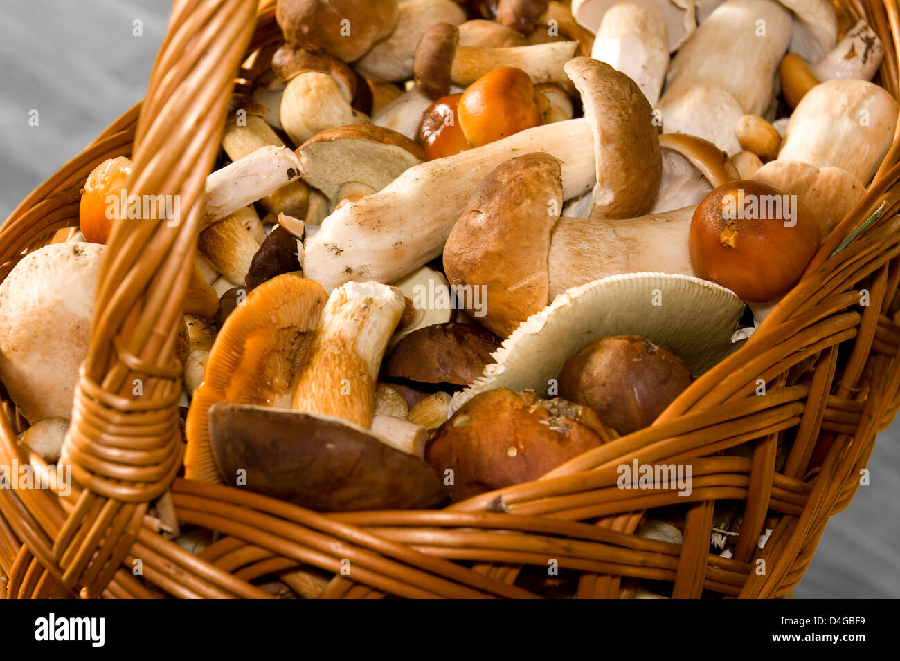 Basket with edible mushrooms. Fungus. Stock Photo