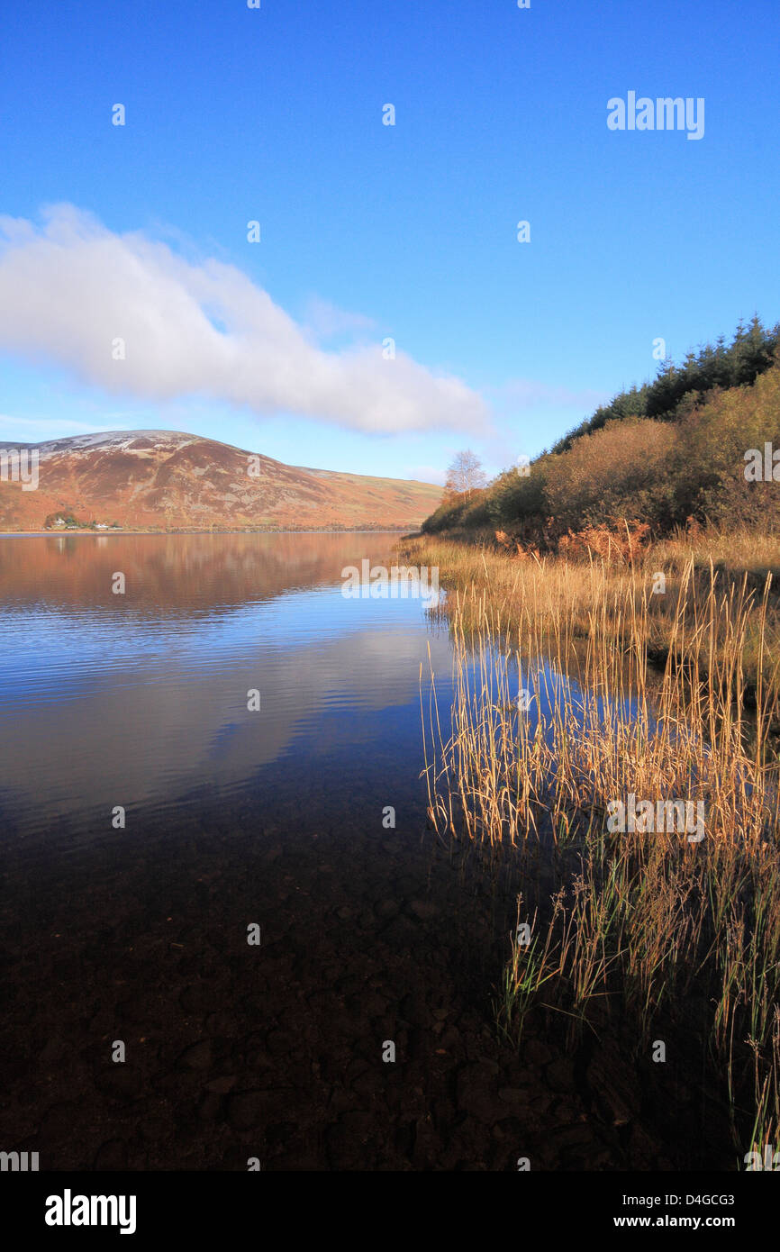 Saint marys loch hi-res stock photography and images - Alamy