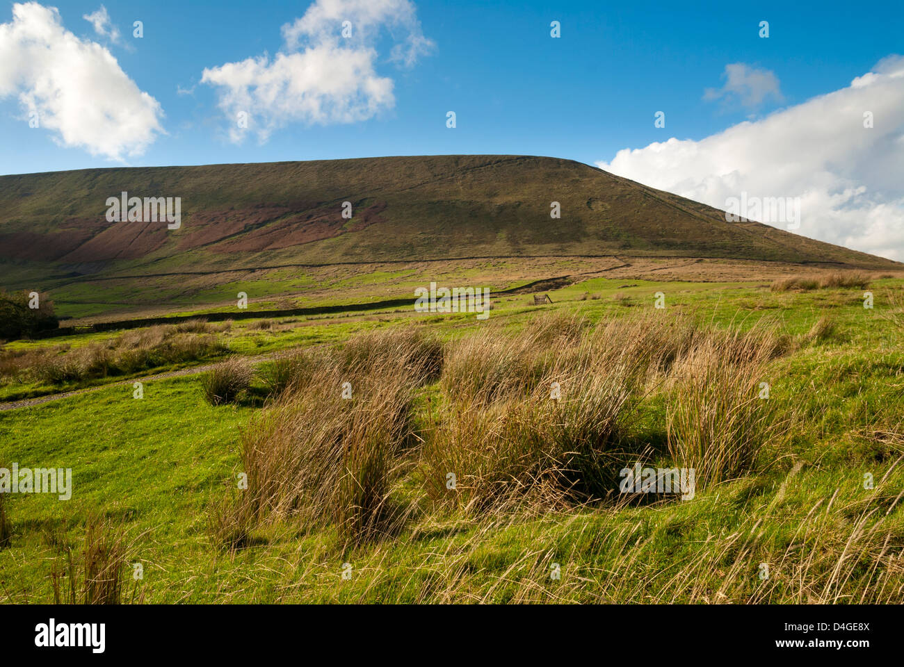 Pendle Hill, Lancashire, Rimington, England, UK, Europe. Stock Photo