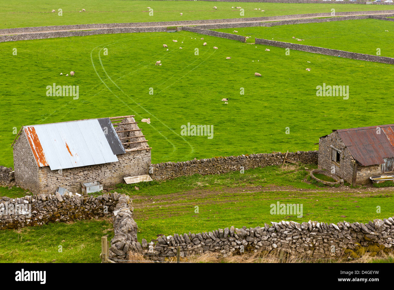 Dry stone walls overlooking fields in the Peak District National Park, Castleton, Derbyshire, England, UK, Europe. Stock Photo
