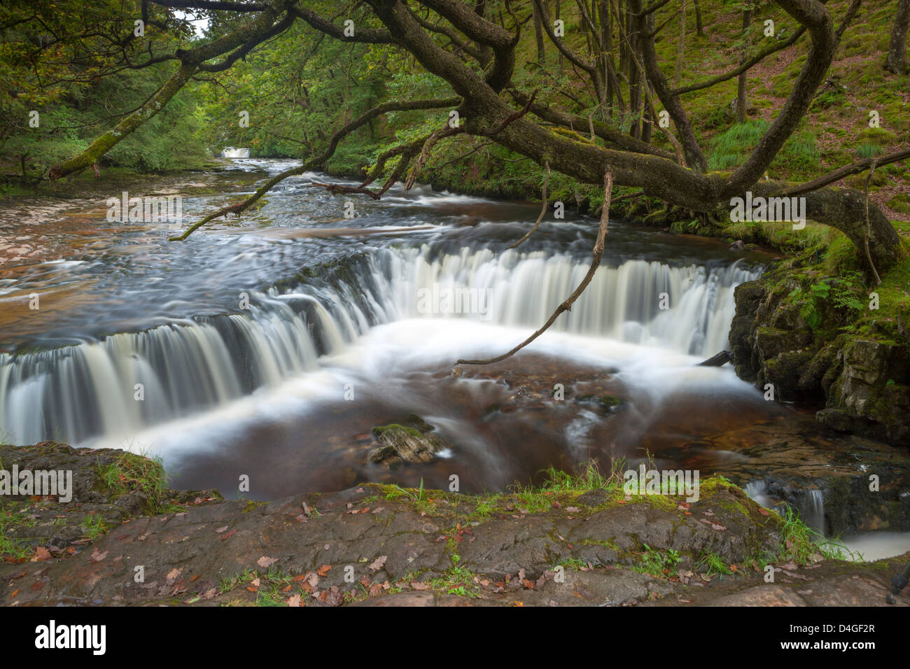 The Nedd Fechan River at Horseshoe Falls, Brecon Beacons National Park