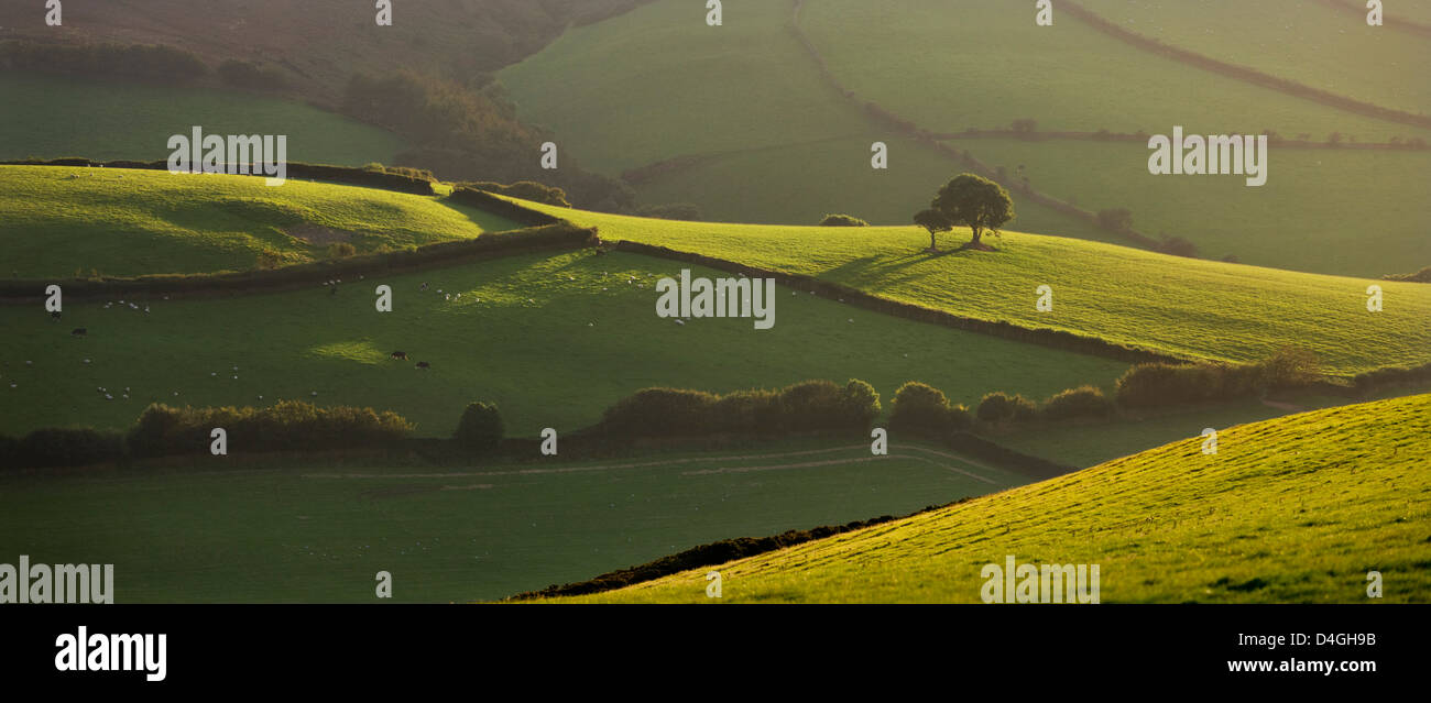 Somerset countryside hi-res stock photography and images - Alamy