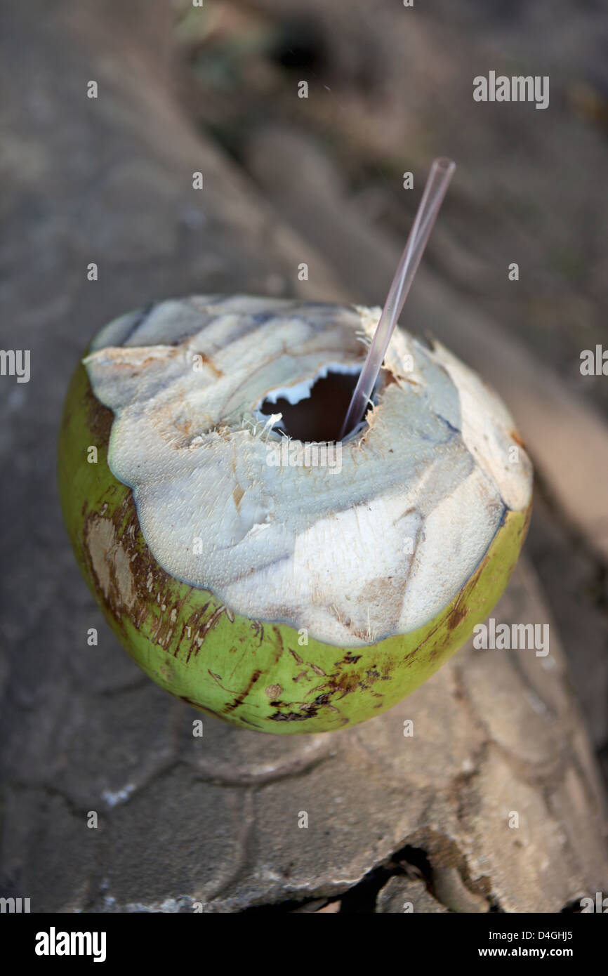 Drinking coconut milk from its husk in Laos Stock Photo