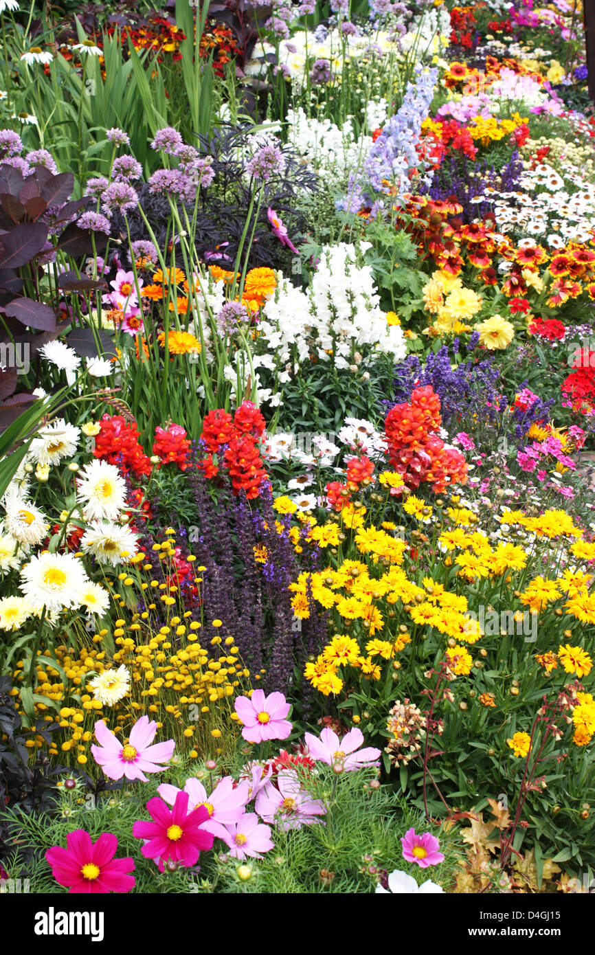 Fresh colorful flowers in a garden Stock Photo - Alamy