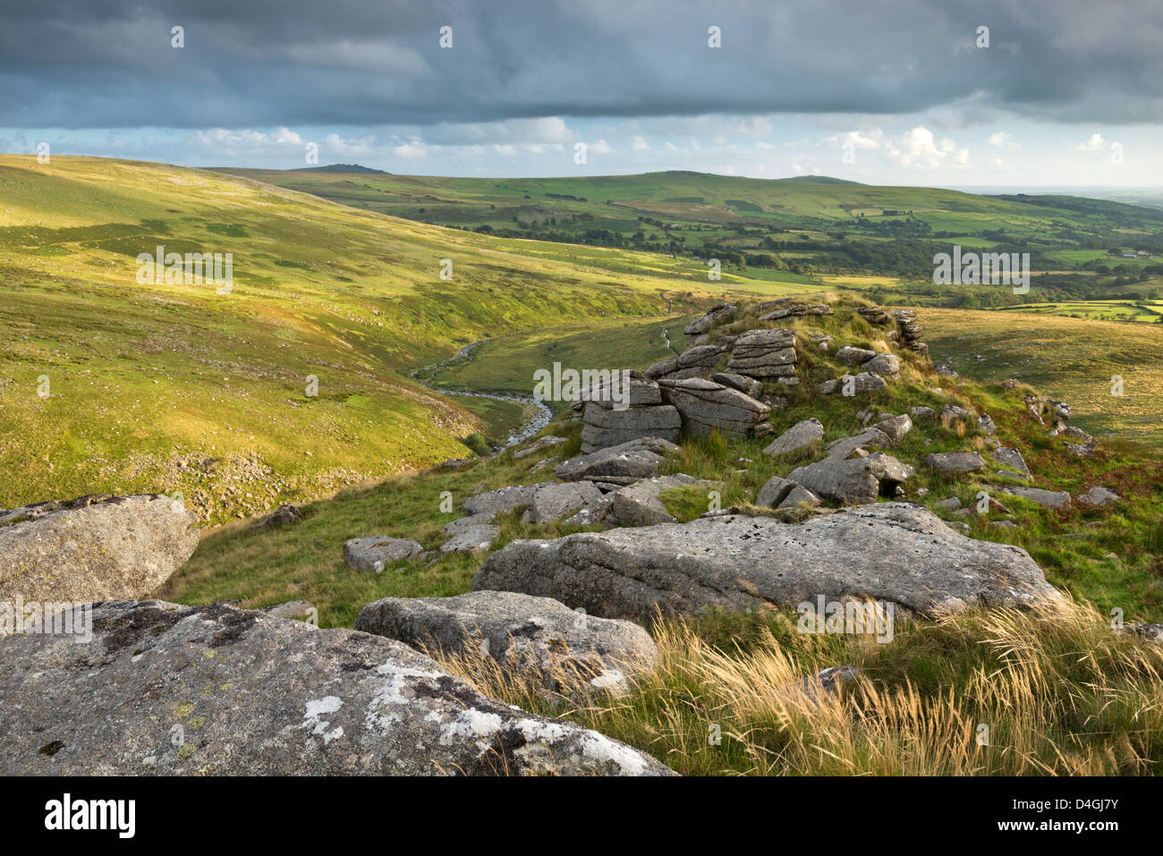 Tavy Cleave viewed from Ger Tor, Dartmoor, Devon, England. Summer (August) 2012 Stock Photo