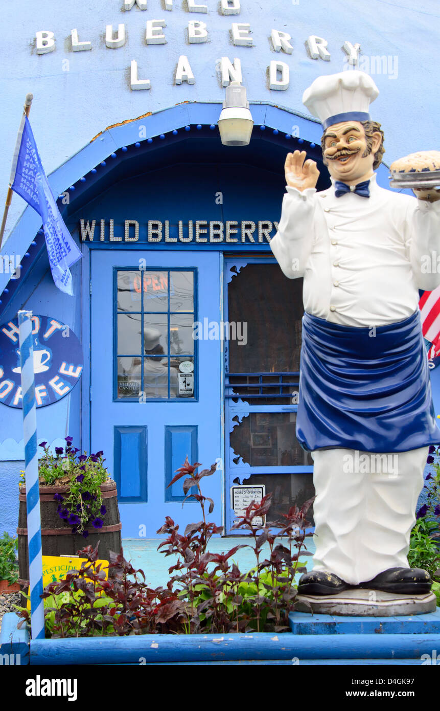 The entrance to Wild Blueberry Land, a roadside attraction in Columbia