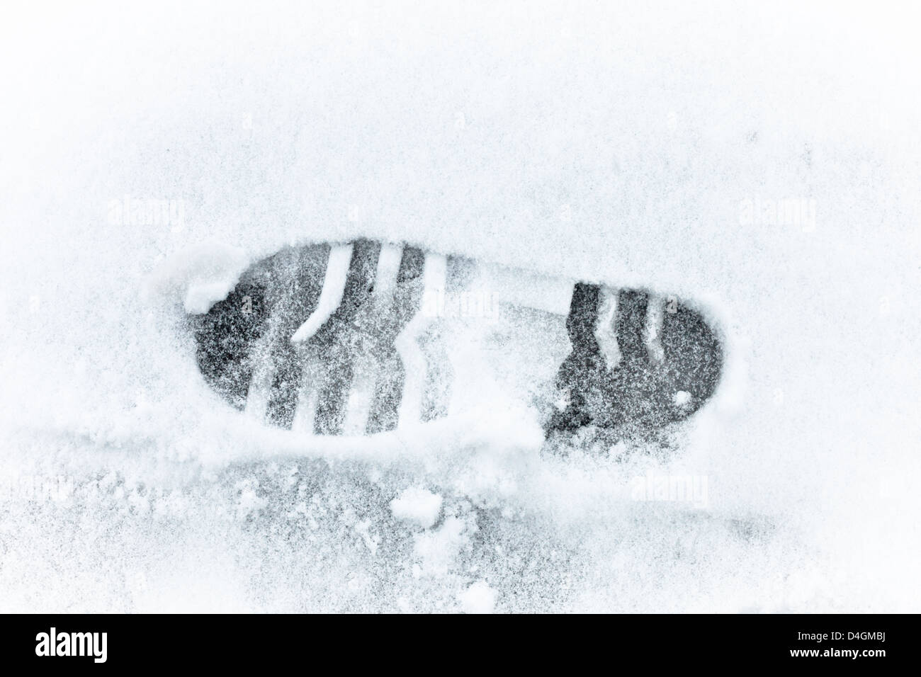 Объемные следы. Следы зайца на снегу. Следы валенок на снегу. Одиночный след. Одиночный след.