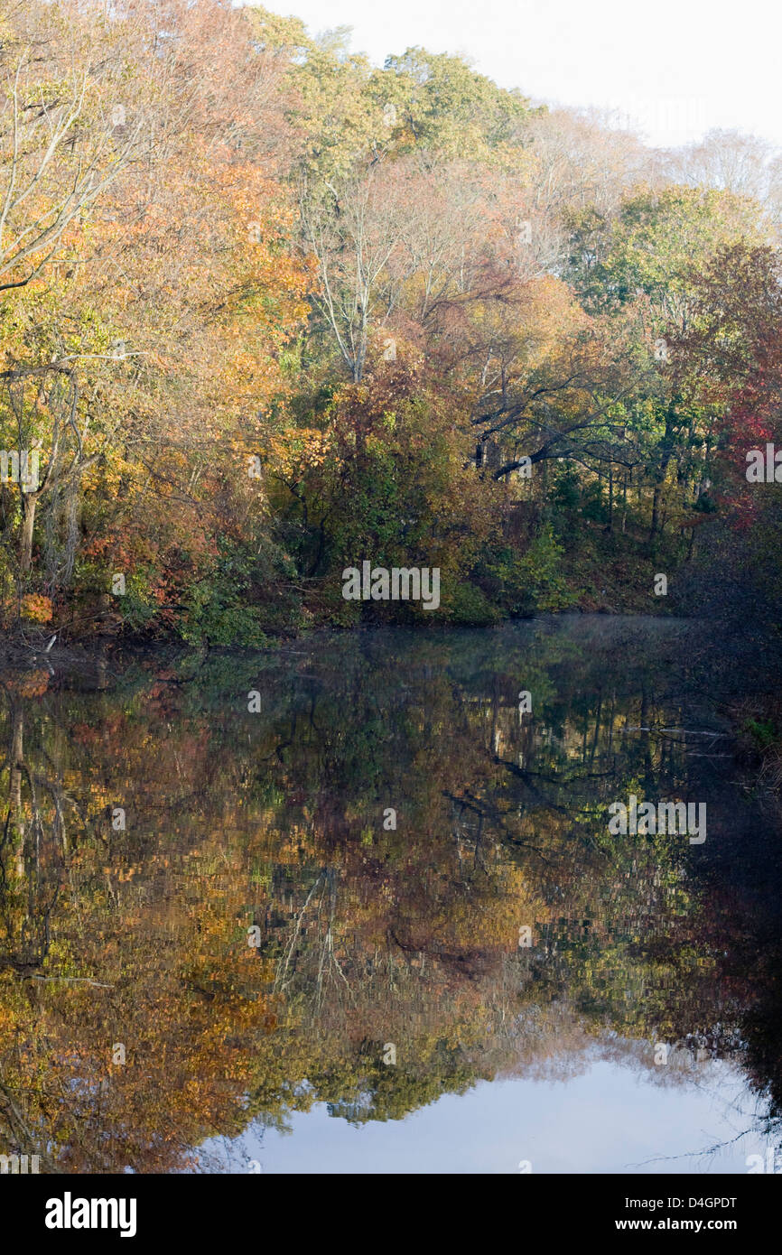 Autumn Fall trees on a lake in America Stock Photo - Alamy