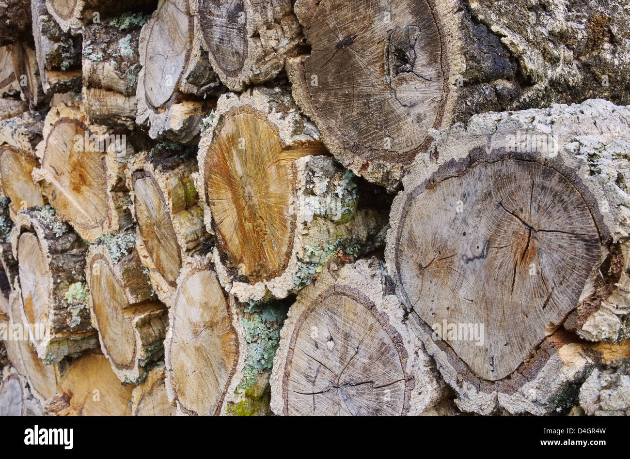 Holzstapel Korkeiche - stack of wood from cork oak 02 Stock Photo