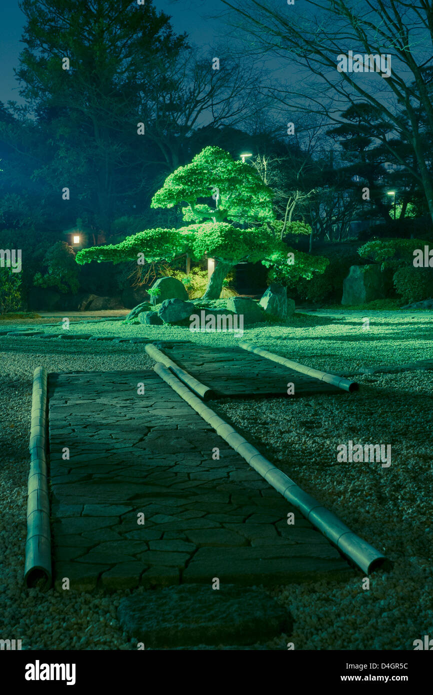 pine tree inside Japanese zen garden with scenic night illumination Stock Photo