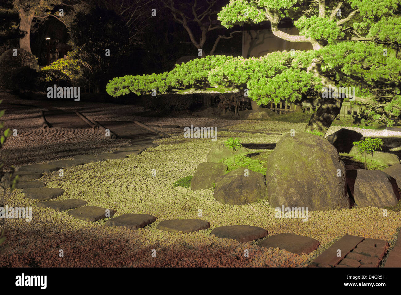 pine tree inside Japanese zen garden with stone way around and scenic night illumination Stock Photo