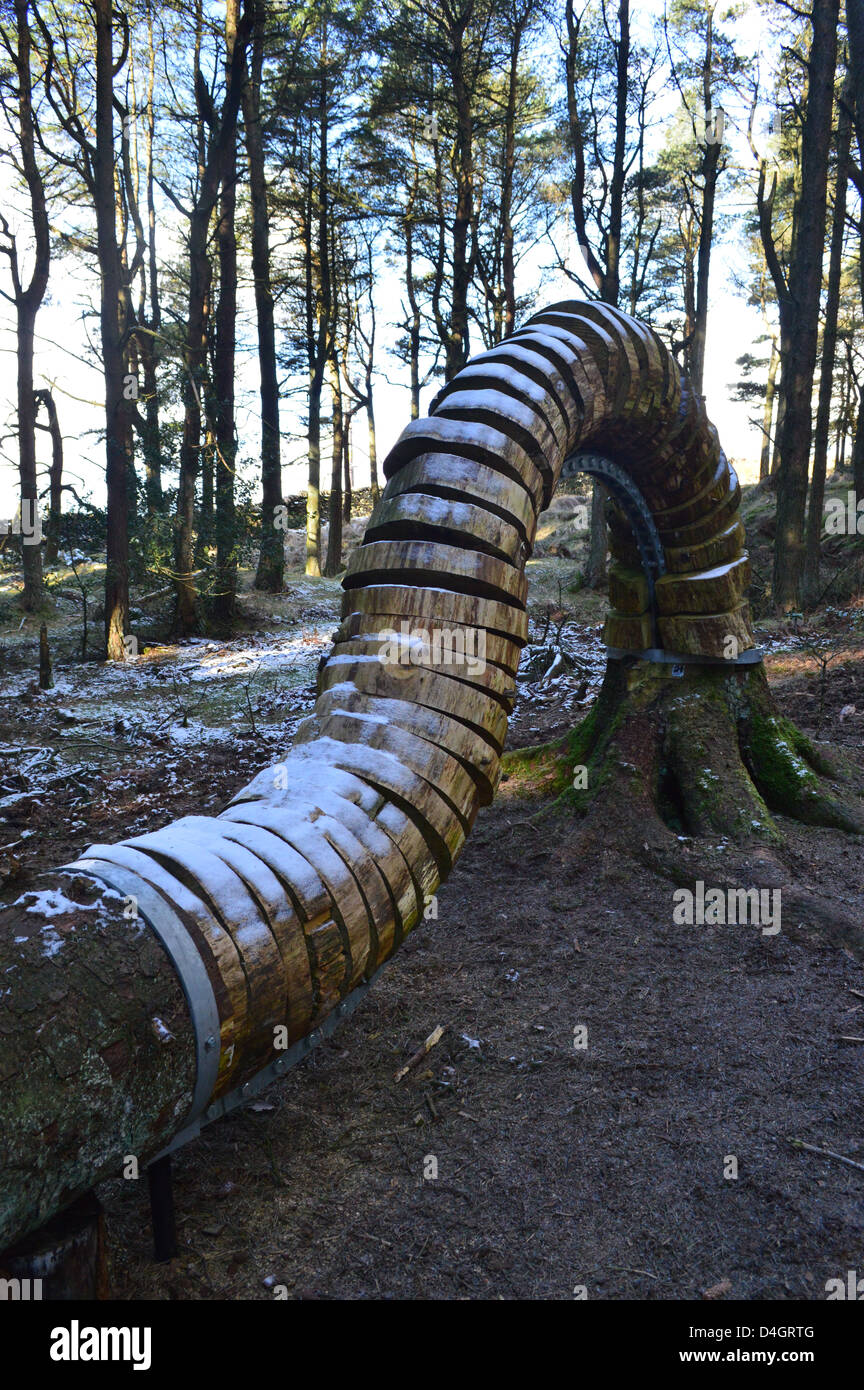 Wooden Sculptures from the Pendle Sculpture Trail in Aitken Wood near Barley in Lancashire Stock