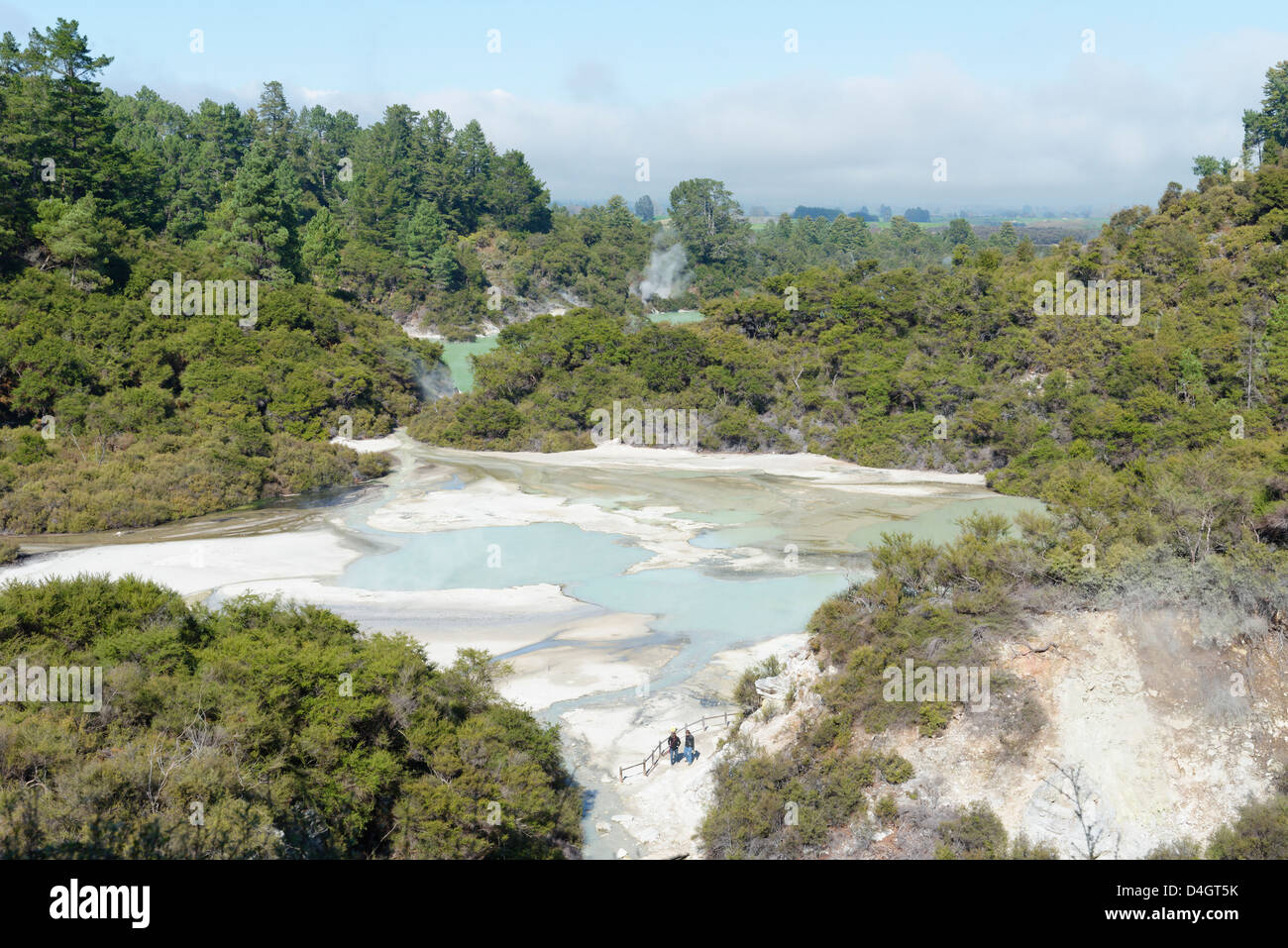 Waiotapu Thermal Area, Rotorua, North Island, New Zealand Stock Photo