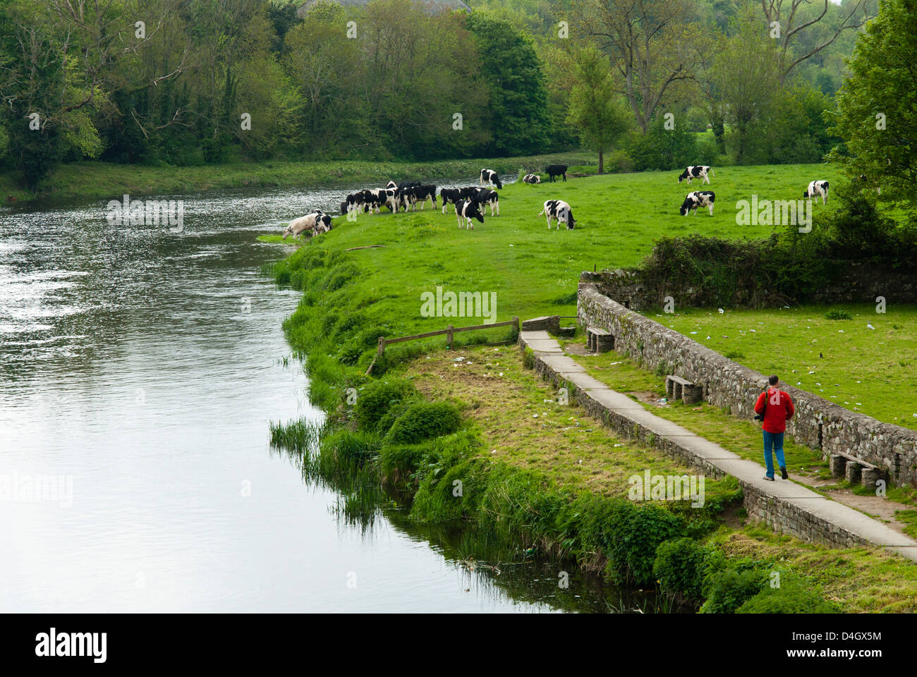 Countryside, County Kilkenny, Leinster, Republic of Ireland (Eire) Stock Photo