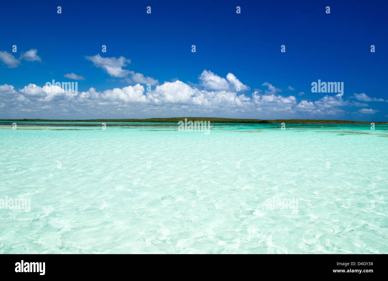tropical sea under the blue sky Stock Photo - Alamy