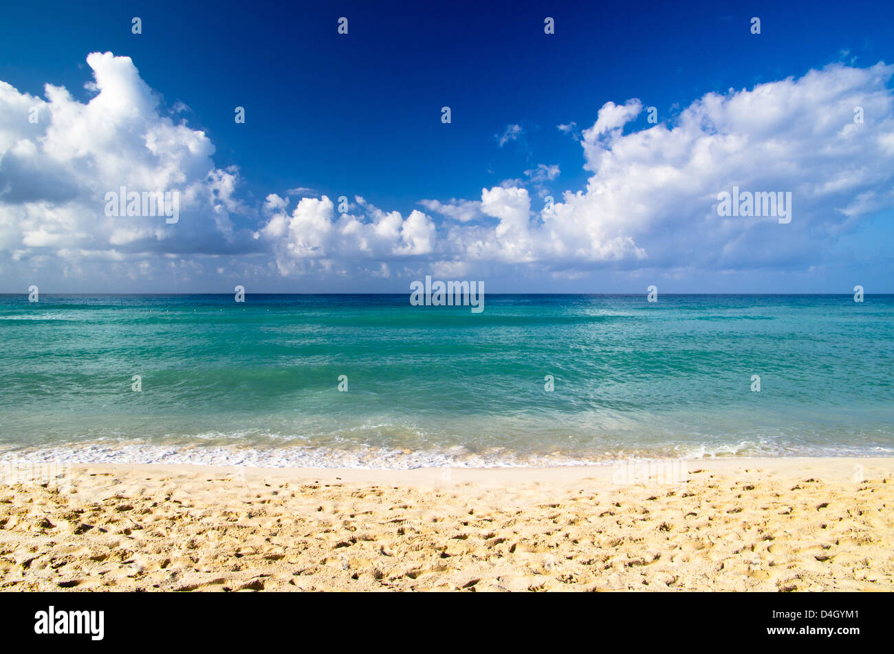 beautiful blue caribbean sea beach Stock Photo