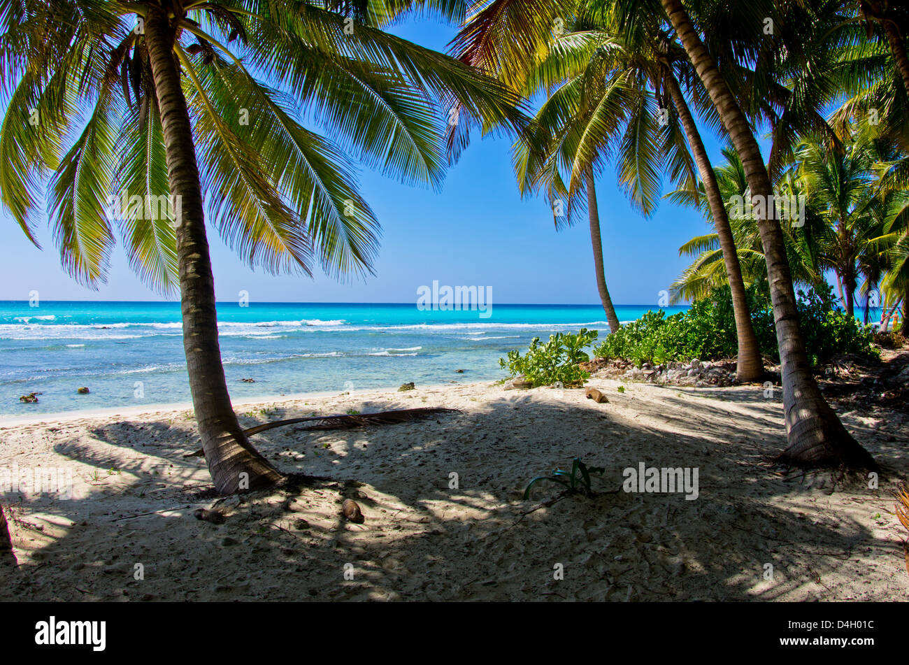 Sunlight over tropical beach hi-res stock photography and images - Alamy
