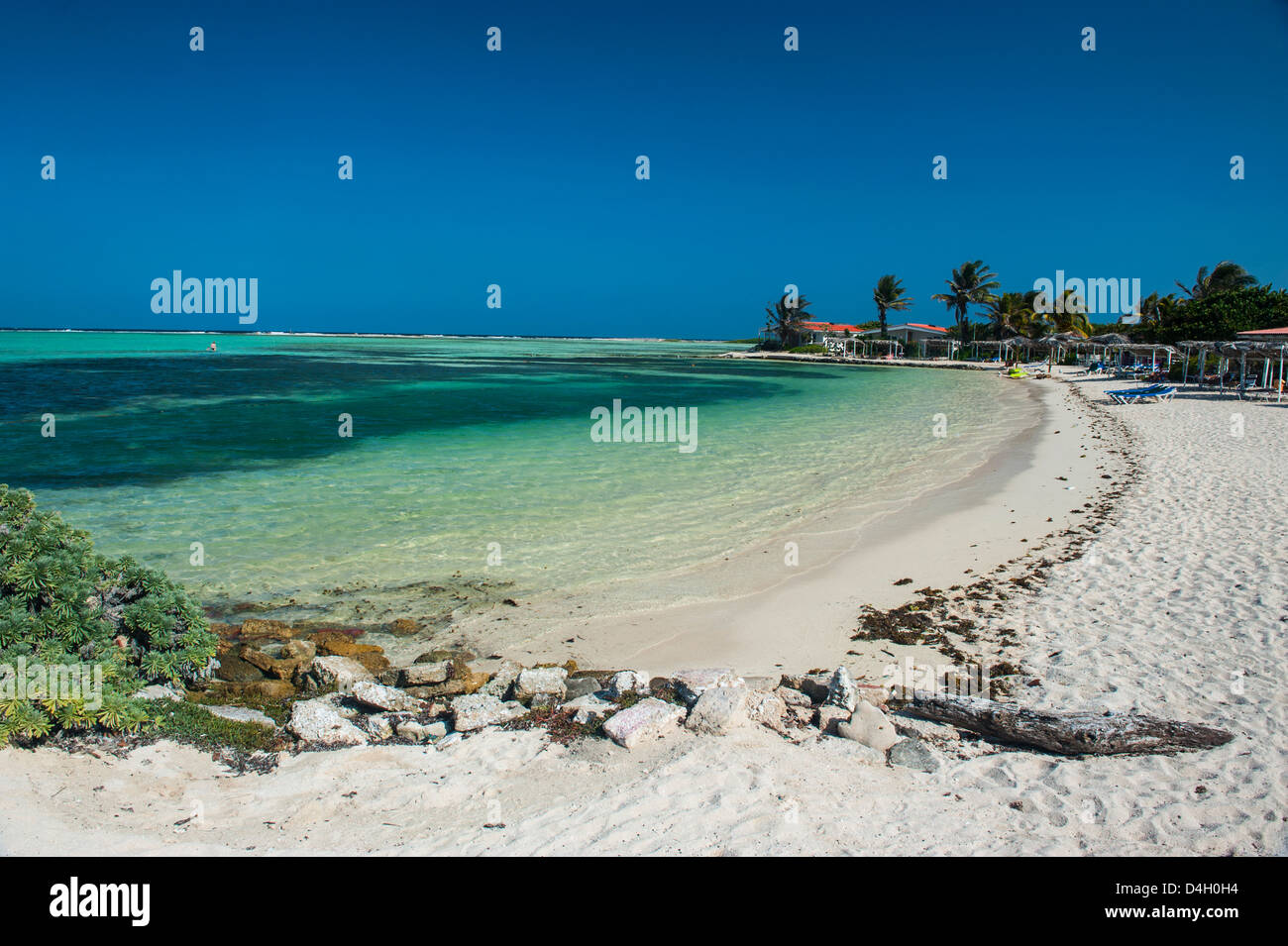 Turquoise water Lac Bay, Bonaire, ABC Islands, Netherlands Antilles, Caribbean Stock Photo
