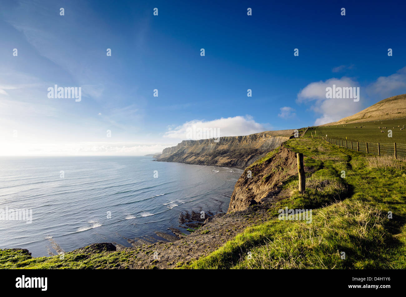 Gad Cliffs near Kimmeridge on the Jurassic Coast, the South West Coast Path is to the right of the fence. Stock Photo