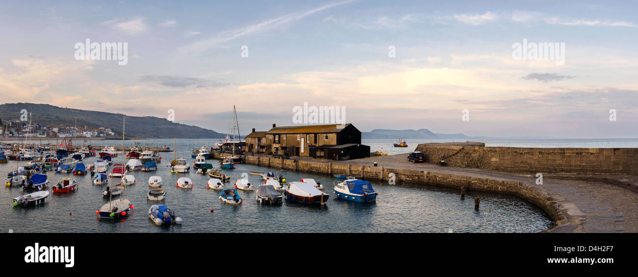 Large panorama of the harbour at Lyme Regis in Dorset with The Cobb (harbour wall) boats and harbour buildings. Stock Photo