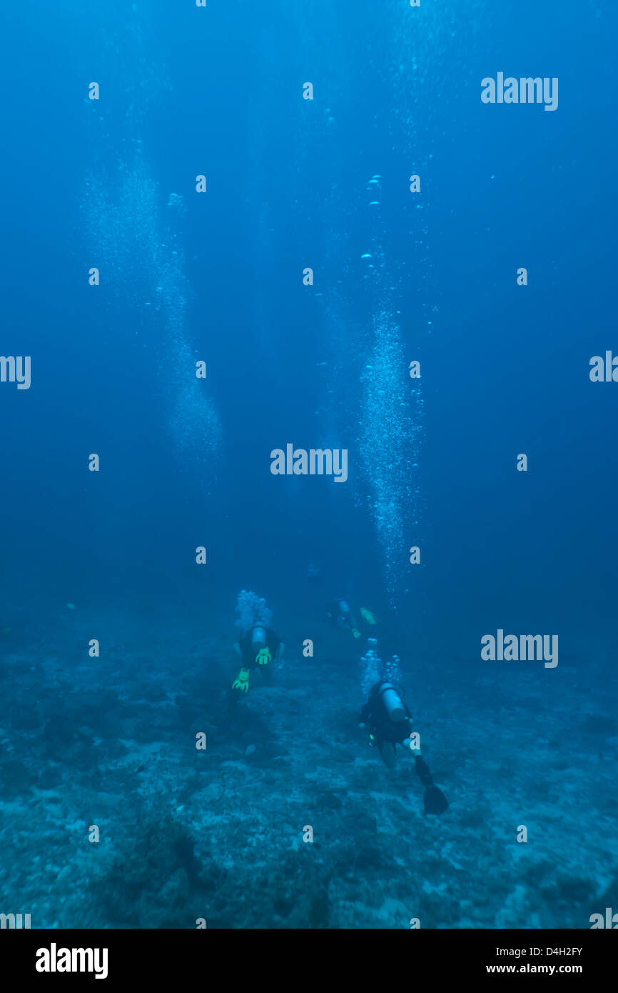 Scuba divers underwater, Thailand, Andaman Sea, Indian Ocean Stock ...