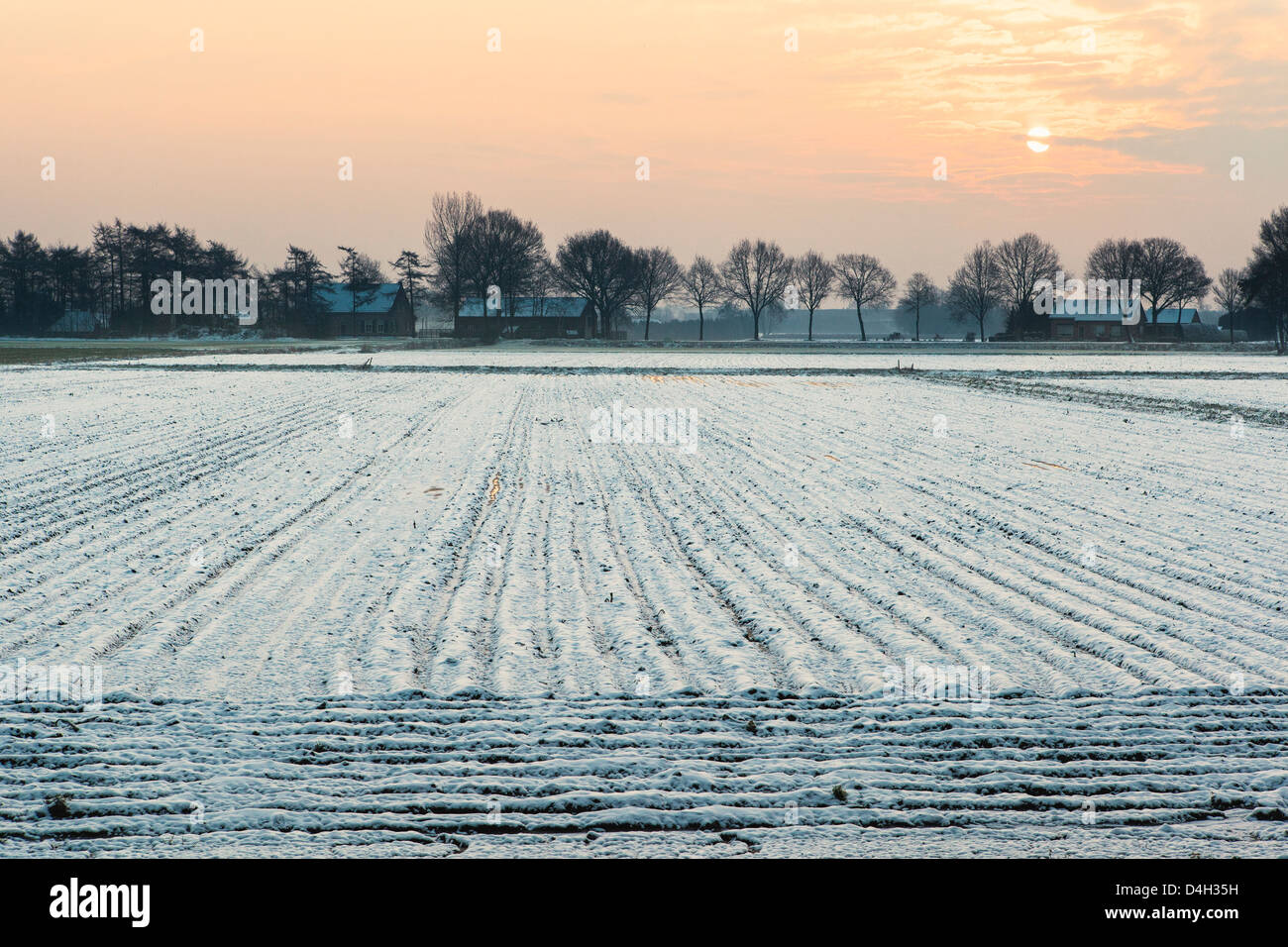 Low sun over ploughed fields covered in snow, Rijsbergen, North Brabant, The Netherlands (Holland) Stock Photo
