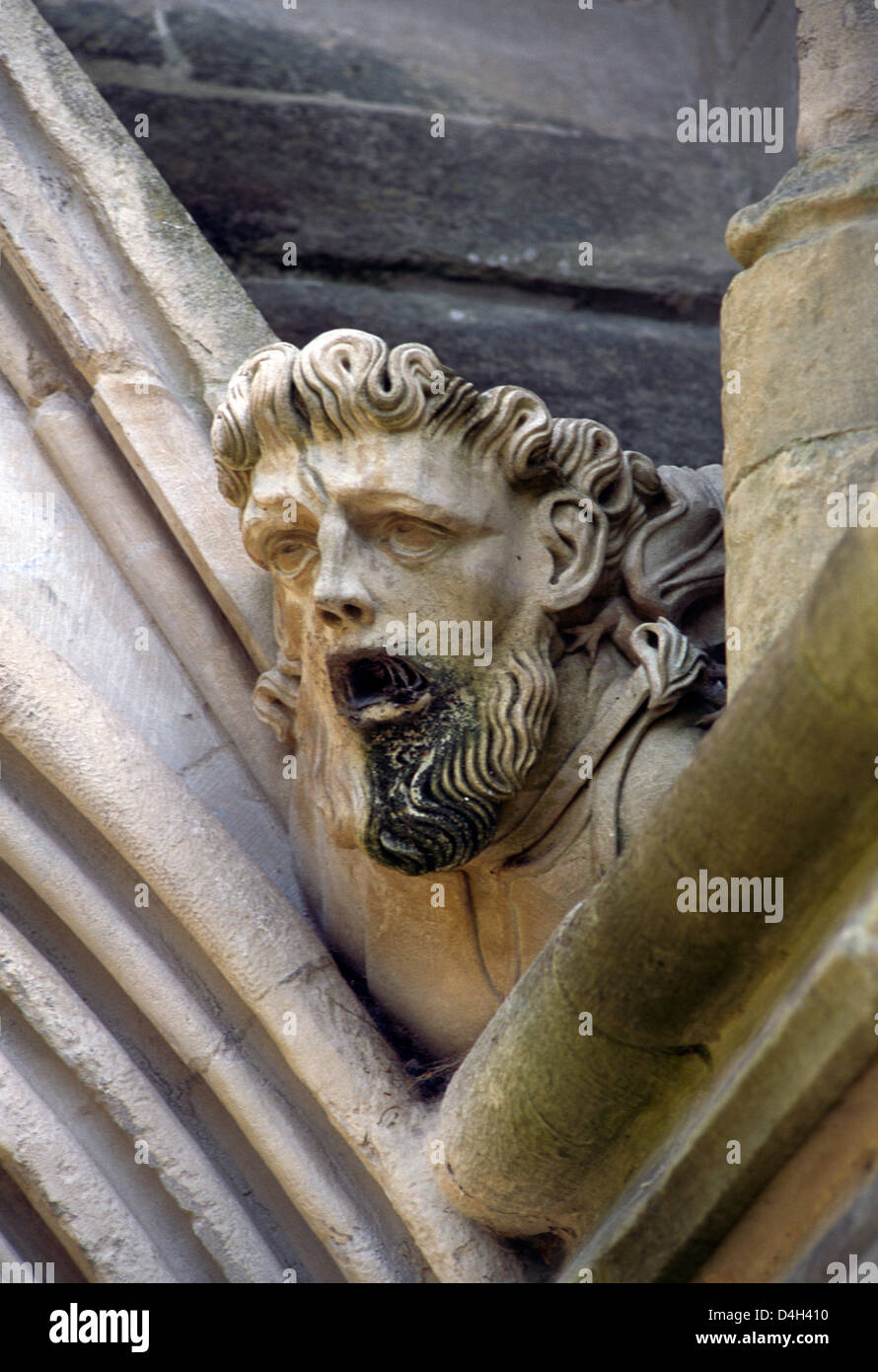 Salisbury Cathedral Wiltshire England Corbet to Vault Nave Shafts (Gargoyle) Stock Photo