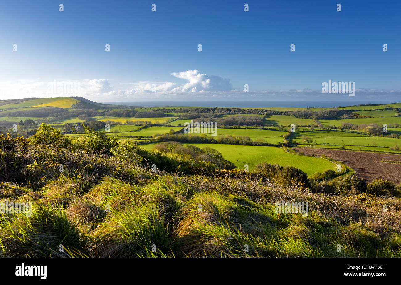 View of the Dorset countryside from the Isle of Purbeck taken from the Lulworth firing ranges. Stock Photo