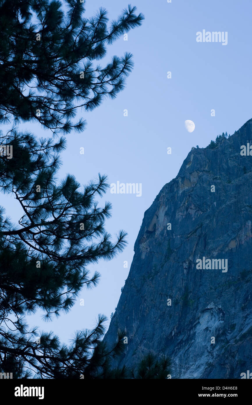 North America, USA, California, Sierra Nevada Mountains, Yosemite ...