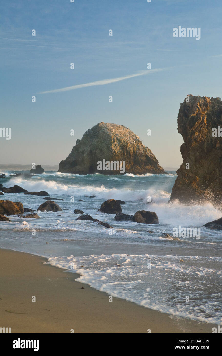 McClure's Beach, Point Reyes National Seashore, Marin County, California, USA; beach, surf, and sea stacks, late afternoon Stock Photo