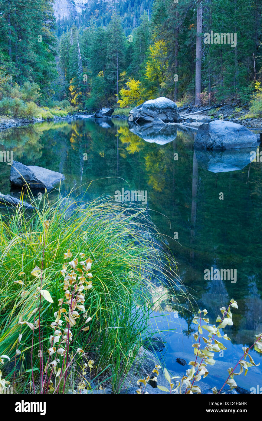 Merced River, Yosemite Valley, Yosemite National Park, California, November, late afternoon Stock Photo