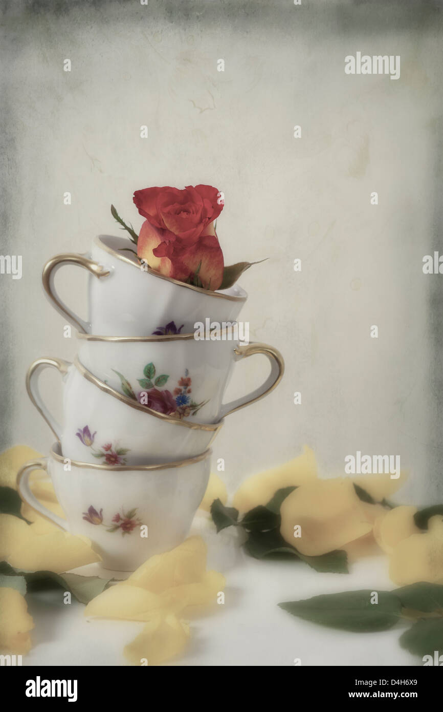 four vintage cups with a rose Stock Photo Alamy
