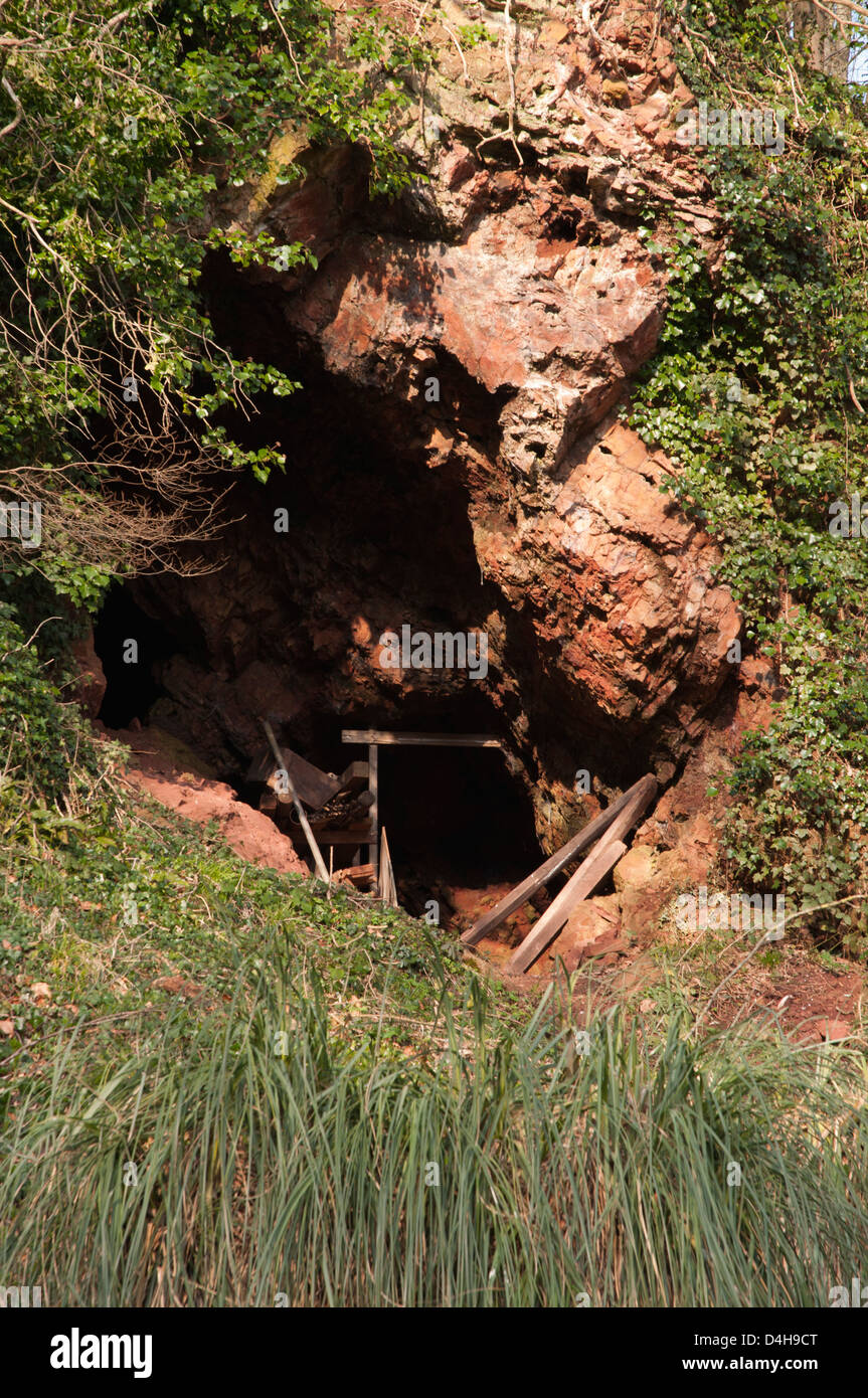 cave in rock face surrounded by vegetation, grasses, undergrowth