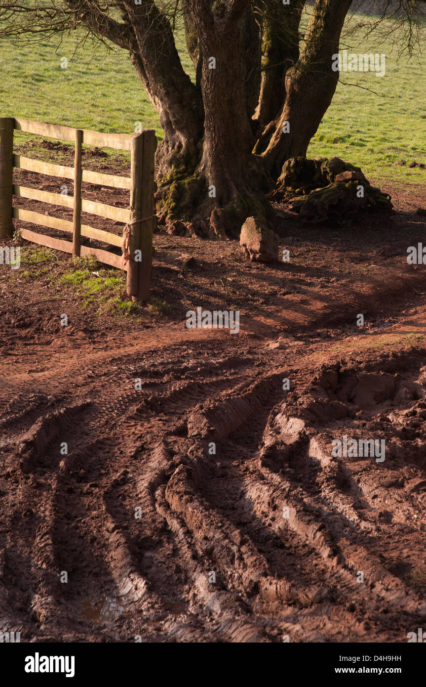 muddy, tyre tracks into field, wet weather, wooden gate, deep mud, churned up soil Stock Photo