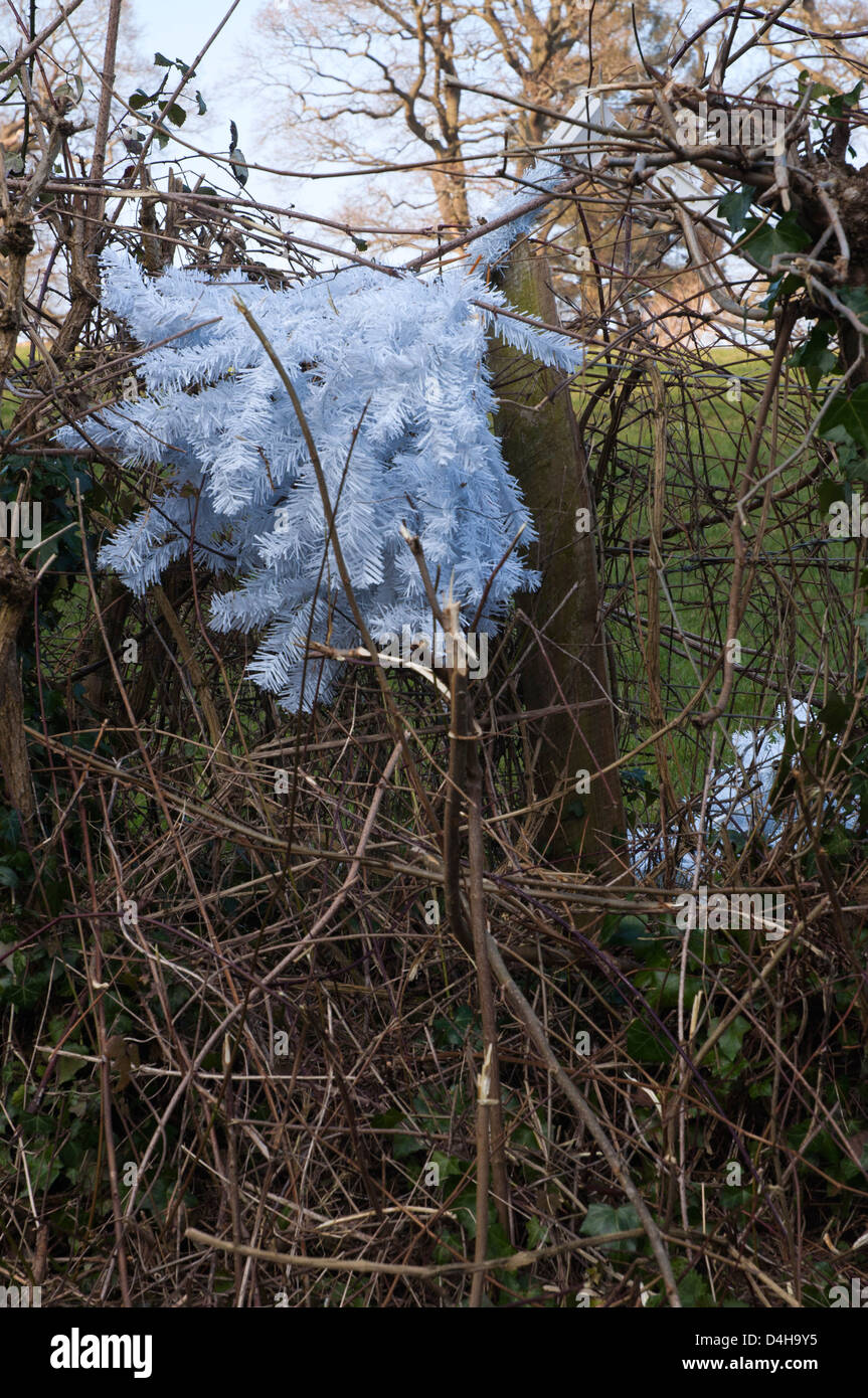 hedgerow with discarded artificial Christmas Tree dumped, winter