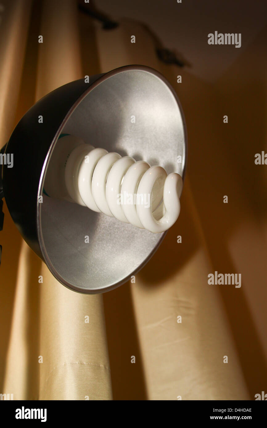 Daylight temperature balanced constant light bulb Stock Photo