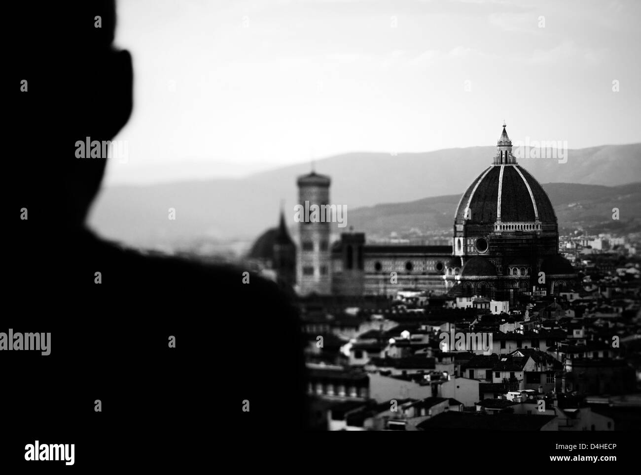 Florence. Panorama Stock Photo