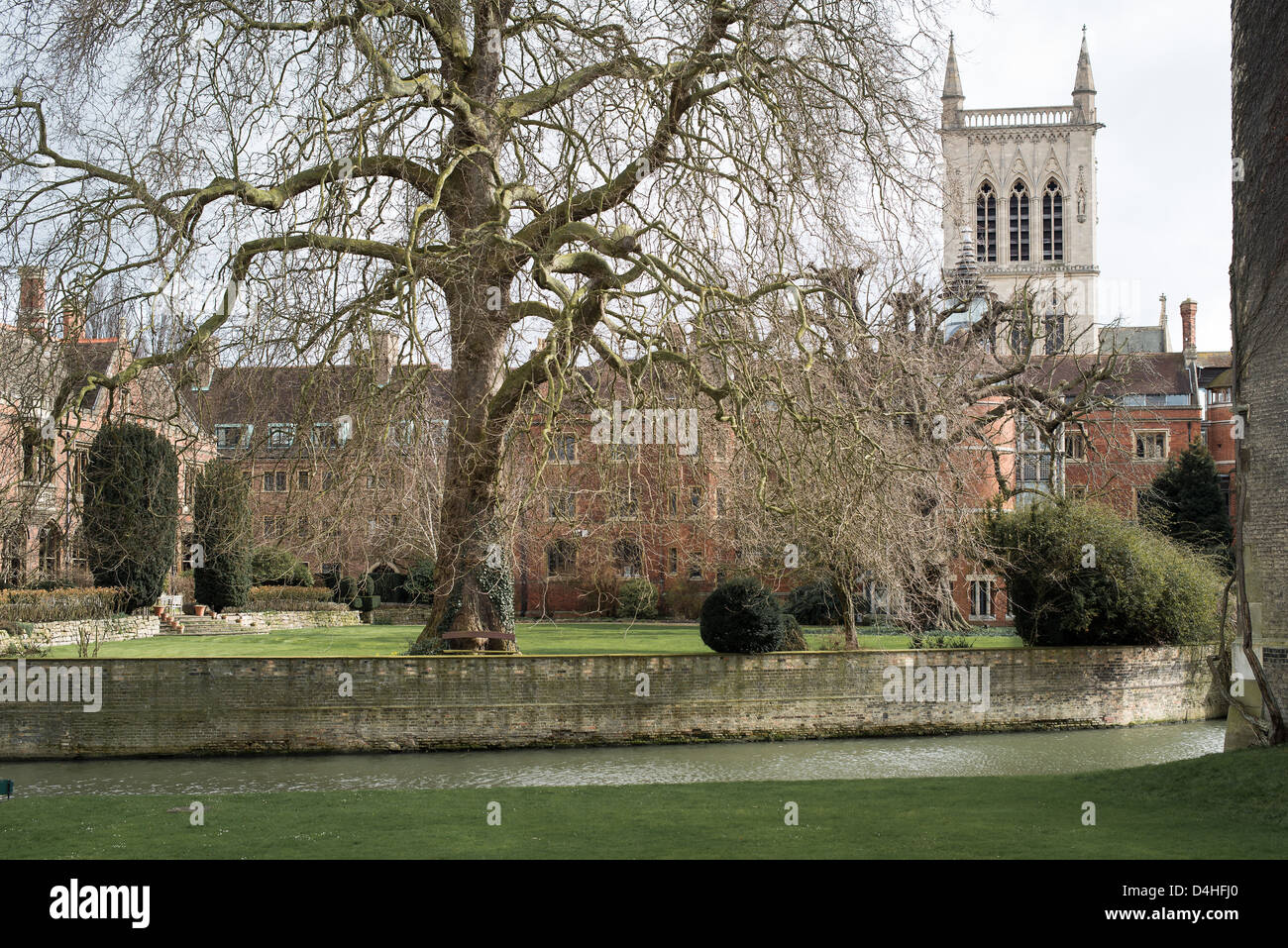 Chapel tower and library at the medieval college of St John's, Cambridge University, England. Stock Photo