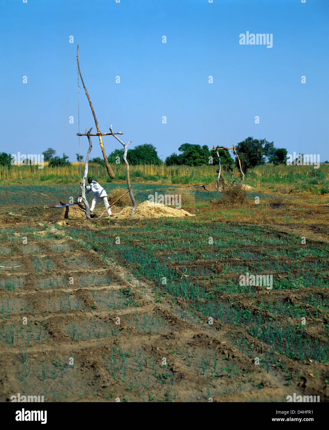 Maroua Cameroon Man By Water Well Used For Onion Fields Stock Photo