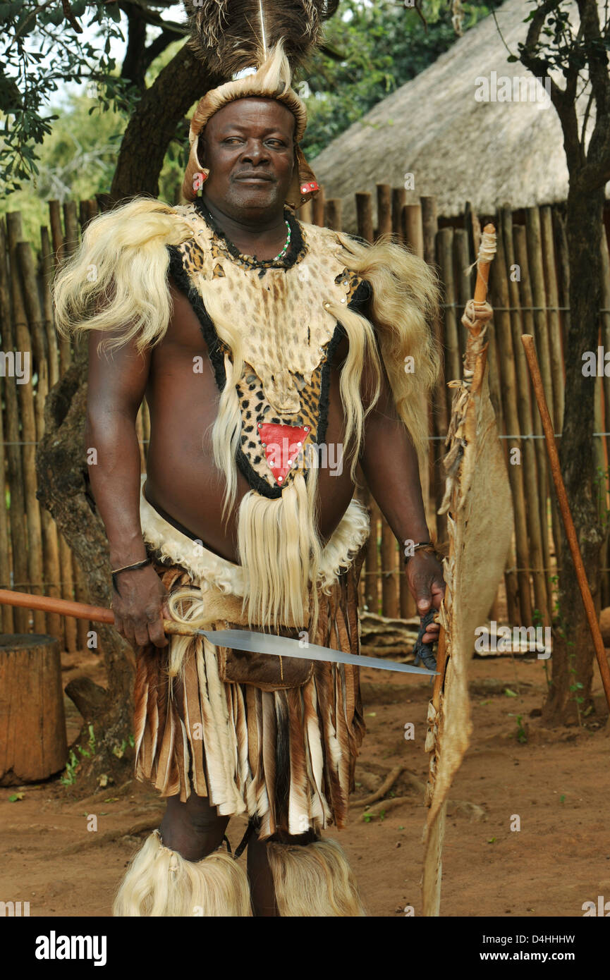 People, Zulu chief, man, traditional ceremonial dress, spear and shield, posing, culture theme village, Shakaland, KwaZulu-Natal, South Africa, ethnic Stock Photo