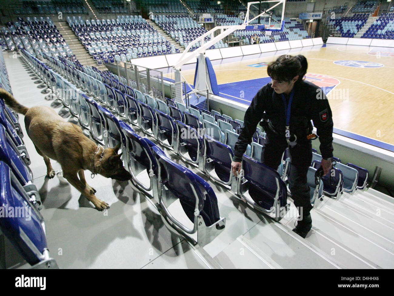Police officer Nicole Sonnabend and her sniffer dog Akina search the grandstands of EWE Arena for explosives in Oldenburg, Germany, 13 January 2009. The European Basketball Cup match betwenn Hapoel Jerusalem and German Bundesliga club EWE Baskets Oldenburg will take place under intensified security conditions, although there is nothing left to win for the host club. Last week a mat Stock Photo