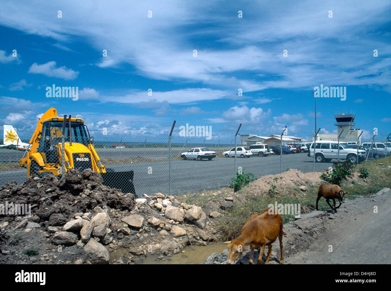 Nevis St Kitts Nevis Airport Bulldozer In Car Park With Goats Stock