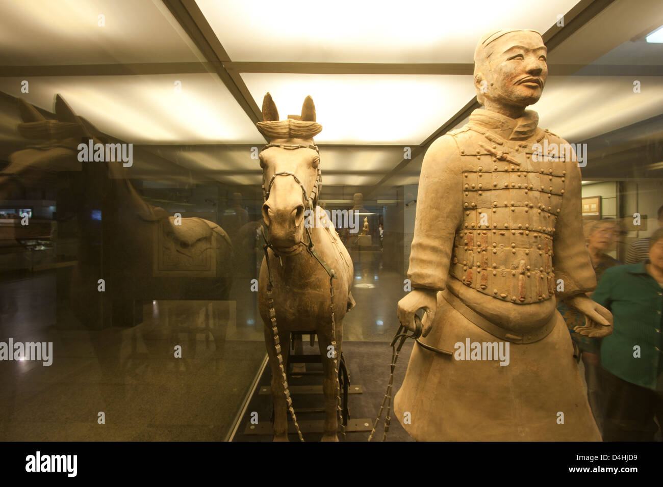 A terracotta warrior and his horse on display at the Warriors Museum in Xi'an China Stock Photo