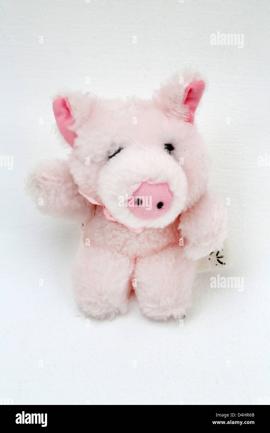 Soft Cuddly Pig Stock Photo