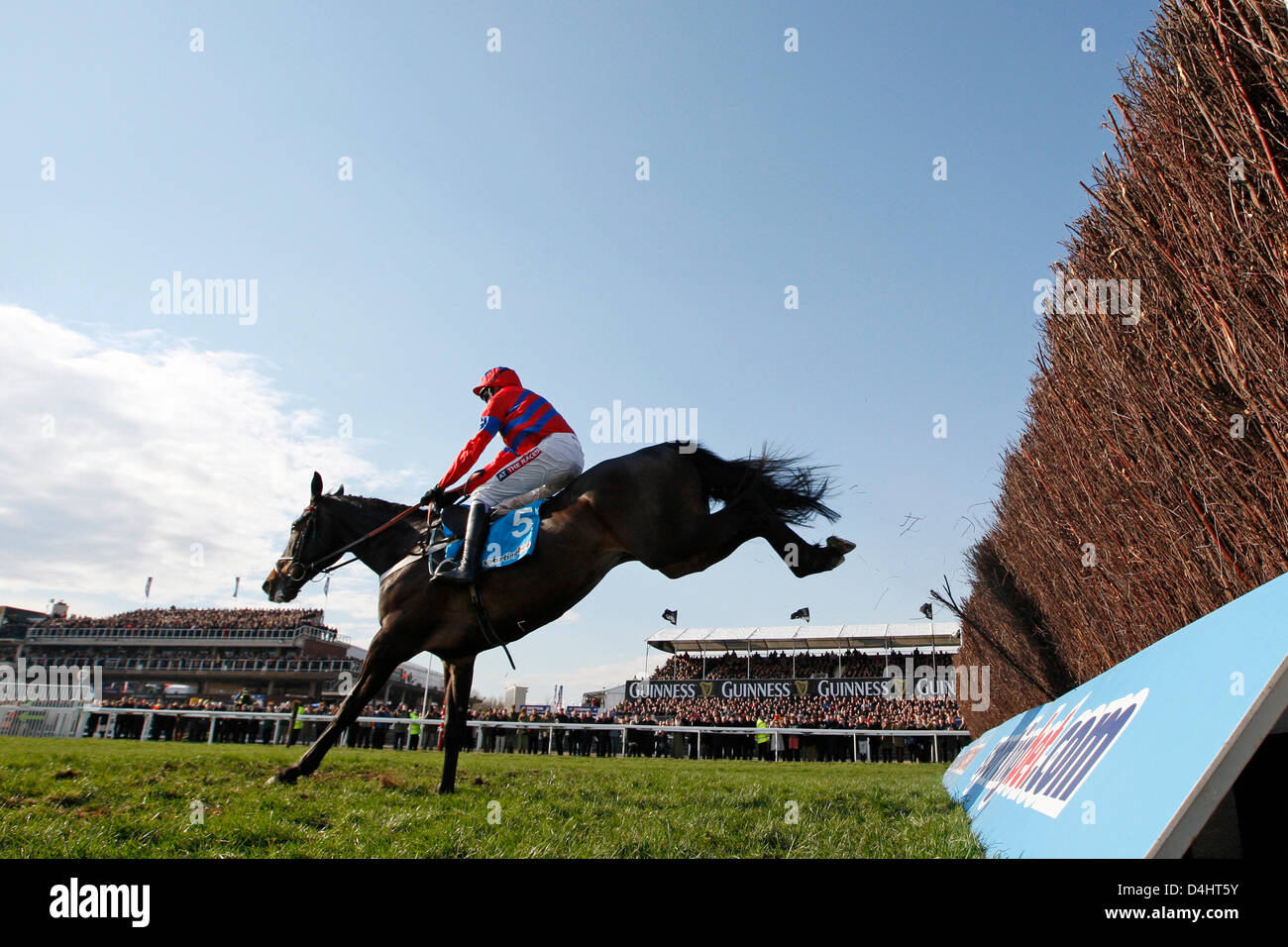 Cheltenham, UK. 13th March 2013.  Alternative view from the bottom; Sprinter Sacre, ridden by Barry Geraghty wins the sportingbet.com Queen Mother Champion Chase Grade 1. Credit:  dpa picture alliance / Alamy Live News Stock Photo