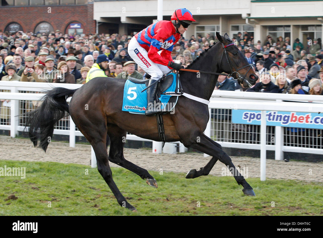 Cheltenham, UK. 13th March 2013.  Sprinter Sacre, ridden by Barry Geraghty on their way to the start for the sportingbet.com Queen Mother Champion Chase Grade 1. Credit:  dpa picture alliance / Alamy Live News Stock Photo