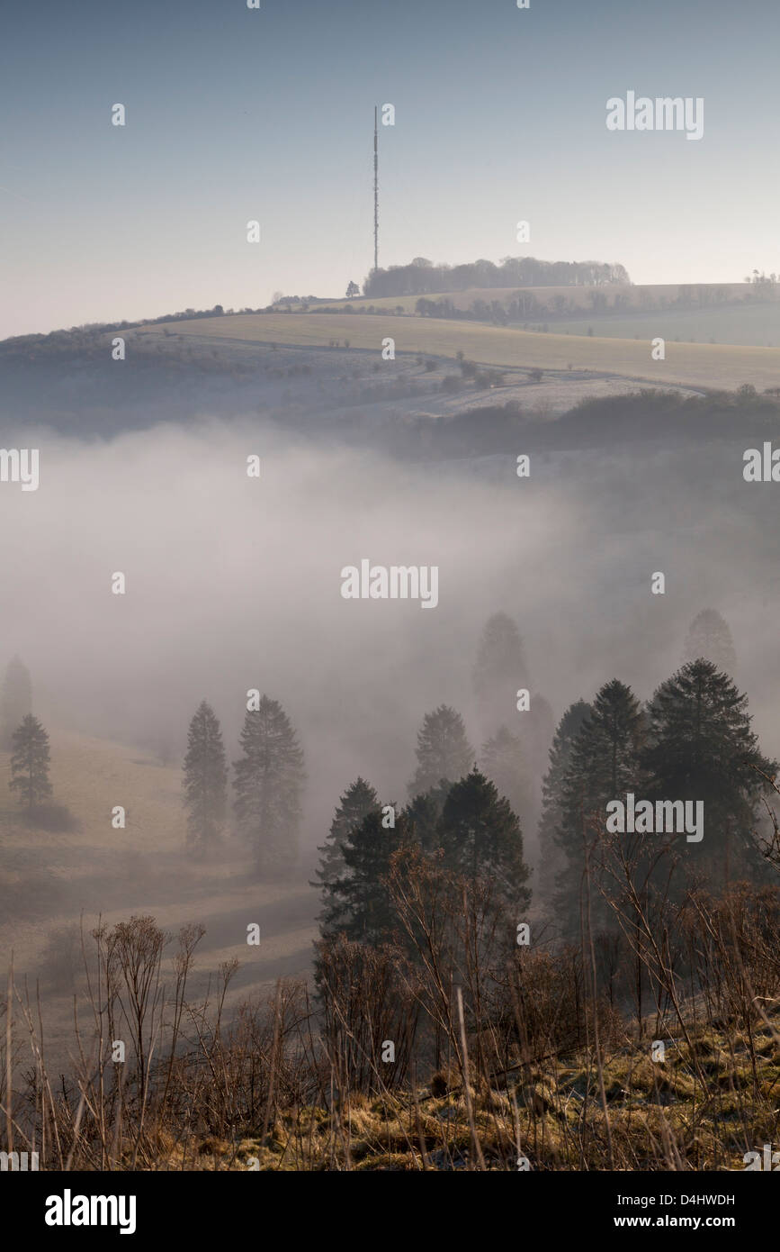 A morning view of Hannington Television mast on Cottington Hill in Hampshire seen from the Wayfarer's Walk on Cannon Heath Down Stock Photo