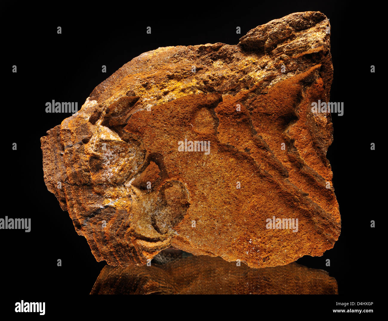 Limonite mineral rock sample hires stock photography and images Alamy